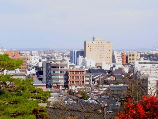 23993612_s