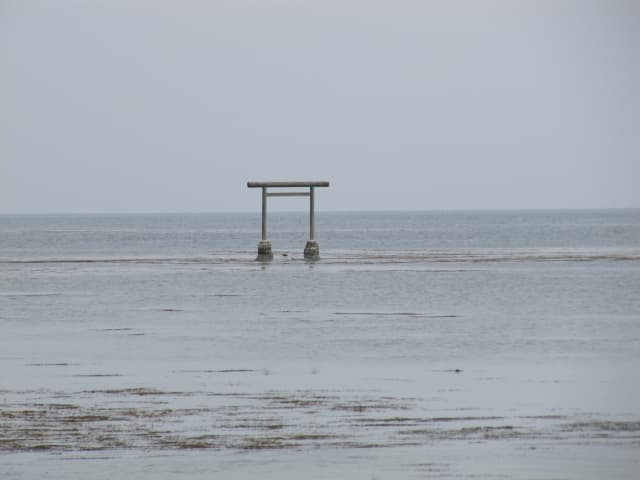 24002298_s
