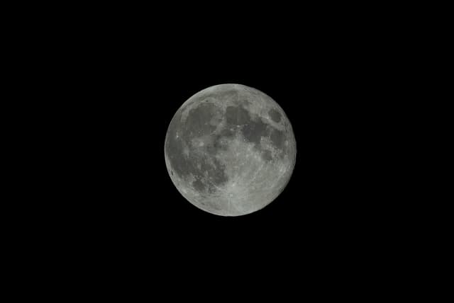 119018